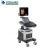 Import Real time 4d ultrasound scanner color doppler 4D sonography medical ultrasound from China