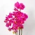 Import Real touch feeling latex made 5 branches artificial orchid plants orchid bonsai plant for decoration from China