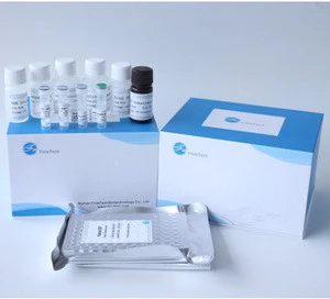 Reaserch use Human GDNF(Glial cell line-derived neurotrophic factor) ELISA Kit