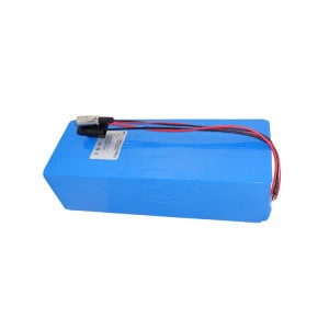 Rechargeable Ebike 48V 10Ah 15Ah Lithium 18650 Battery Pack for 750W 1000W Electric Motor