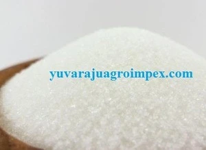 Refine sugar/White refine sugar