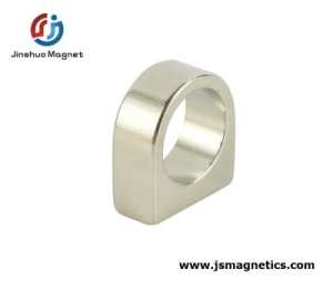 Ring Shaped Neodymium Magnet Variety of Neodymium Rare Earth Magnets