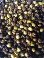 ROASTED BLACK KABULI CHICKPEA