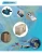 Import Round shape factory product swimming pool accessories pool main drain from China