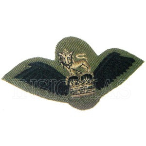Royal Air Force (British) Combat Uniform brevet badges