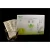 Import Small package Dilute Japanese pure matcha flavored green tea Beverages YU-CHA 5ml from Japan