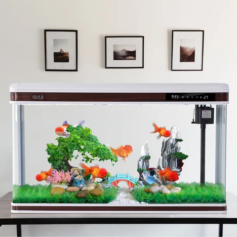 View of Buy Smart Desktop Ecological Goldfish Tank, Living Room, Household ...