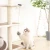 Import Smart fun lifting ball electric cat toy funny cat interactive toy pet cat hanging ball toy from China