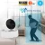 Import Smart Life Wireless Network Camera Motion Detection Baby Monitor Auto Tracking 1080P Wifi Tuya Camera Support Google Home from China