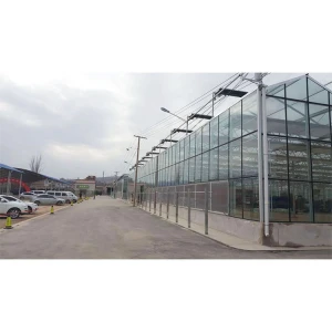 Sophisticated Technology Commercial Glass Greenhouse Glass Green House Greenhouses