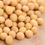 Soybean powder bulk suppliers