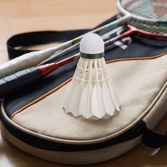 OEM Badminton Shuttlecocks Badminton Accessories for Training and Recreational Use