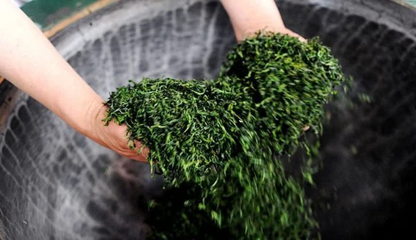 Special Vietnam Green Tea High Quality - Wholesale Green Tea Best Quality - Dried Organic Herbal Tea