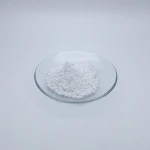 SR Allicin Garlic Extract /Natural Organic Dried Garlic Extract Powder/High Quality Garlic Supplier