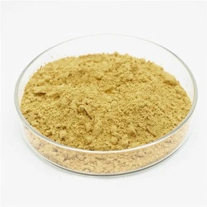 Supply Natto Ginkgo Biloba Extract Powder Capsule
