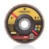 T27 5&#39;&#39; 125x22mm Euro abrasive material sanding discs