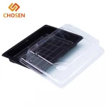 Takeaway Food Blister Plastic Sushi Gift Box, Custom Sushi Box