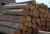 Import teak wood logs for sales from Philippines