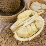 The Best Indonesian Durian