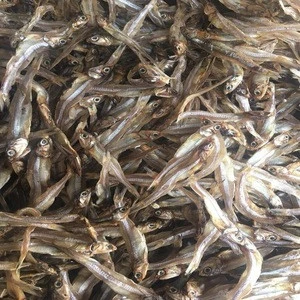 Top Quality dried fish maw/anchovy fish/seafood..
