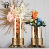 Top sale metal home decor glass vase fashim vase for flowers clear glass vase