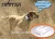 Import tracker gprs cats/dogs/pets tracker ITEM TK909 WITH FREE COLLAR from China