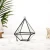 Import Triangular(pyramid) glass gifts crafts geometric glass terrarium from China