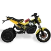 Unique Design Dual Motor Drift Electric Off-road Motorcycle