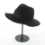 Import Unisex Trilby Fedora Panama Hat Trilby Cap from China