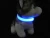 Import USB rechargeable Adjustable light up Double exposure led dog collar usb rechargeable electronic led dog collar from China
