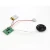 Import USB Recordable Sound Chips for Music Toys from China