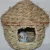 Import Vietnam Wicker Bird Nest for Exotic Bird from Rattan/Bird House// Anny +84 1626 261 558 from Vietnam