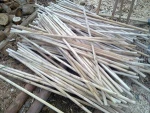 Vietnam wood log with cheap price