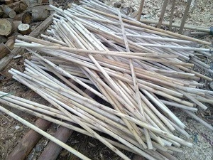 Vietnam wood log with cheap price