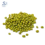 vigna beans good quality green mung beans VietNam