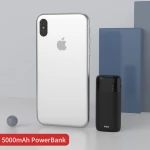 Vizz PB60 Super Fast Safer PD Charging Power Bank 5000mAh with Super Mini Size Cutting- edge Technology Power Banks