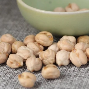 white chickpeas beans / natural organic desi chickpeas / good quality chickpeas for sale