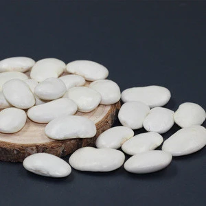 White kidney beans specification of white butter beans