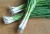Import Wholesale 100% Fresh Spring Green Onion With Best Price !!! Sunfruit from Vietnam