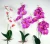 Import Wholesale Cheap Decorative Table Orchid Purple Artificial Orchid Flowers from China