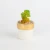 Import Wholesale cheap price home decor potted succulents bonsai ceramic artificial plant in pot from China