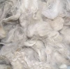 wholesale cheap wool fiber for carpet raw sheep wool