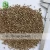 Import Wholesale Chinese hemp seed for planting with hemp seeds from China