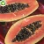 Import Wholesale Market price IQF Frozen diced papaya chunks competitive price from China