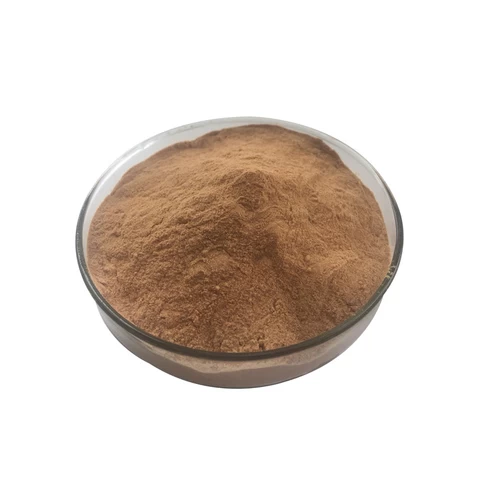 Wholesale Price Brown Yellow Food Grade Plant Extract Ginseng Extract