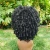 Import wholesale wig vendors heat resistant fiber afro kinky short curly synthetic hair wigs for black women from China