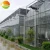 Import Wide Span Agriculture glass greenhouse hot sale from China