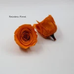 Yunnan A grade natural stabilized roses wholesale at factory price