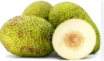 Bread Fruit