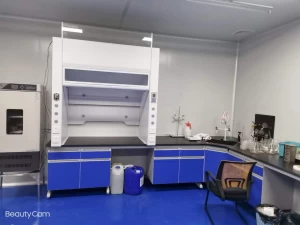 Chemical Resistant Steel and Wood Lab Cabinet Lab Furniture